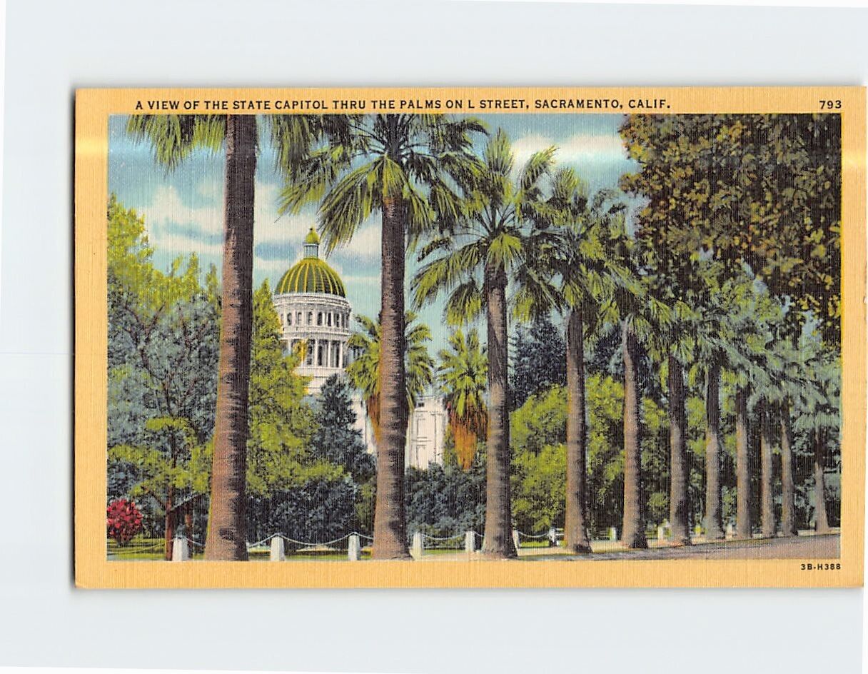 Postcard View of the State Capitol Thru the Palms on L Street Sacramento CA USA