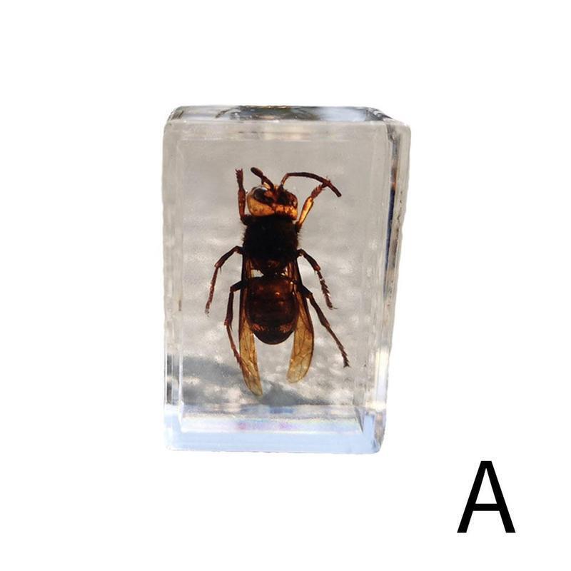 Transparent Resin Amber Insect Specimens Beetle Scorpion Pendant Rectangular