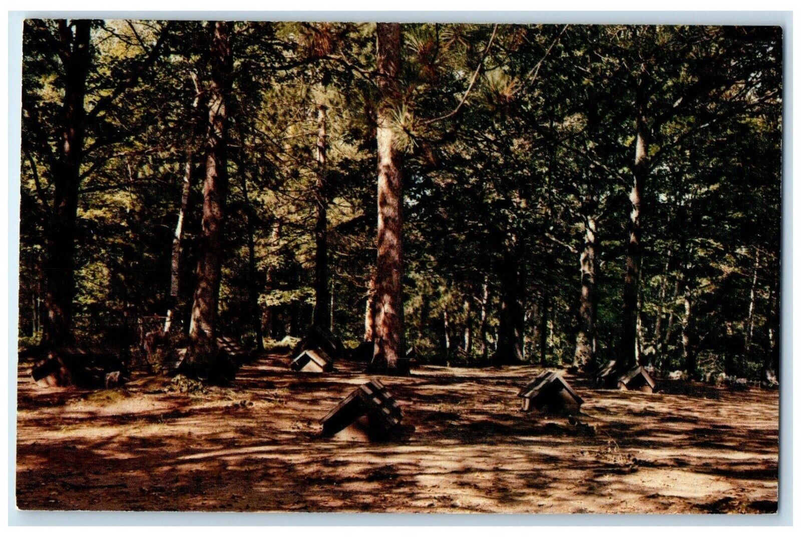 c1960 Indian Burial Ground Ojibway Burial Grounds  L'Anse Michigan MI Postcard