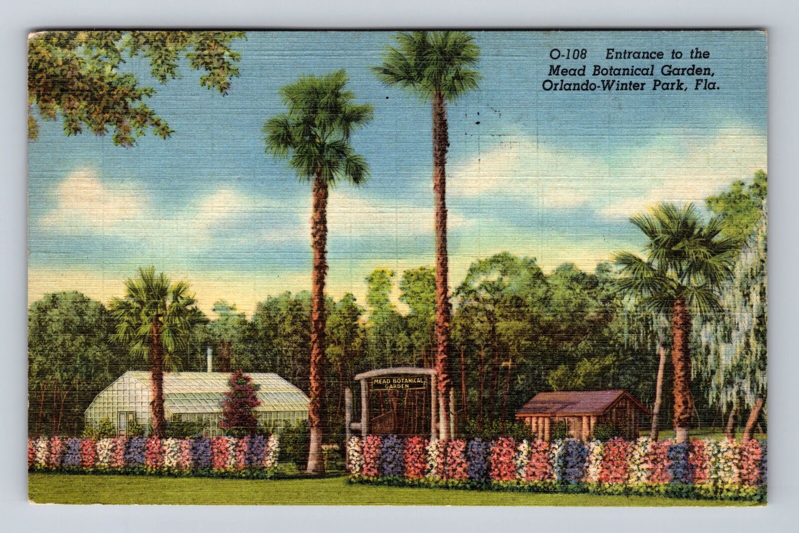 Orlando FL-Florida, Entrance to Mead Botanical Garden, Vintage c1952 Postcard