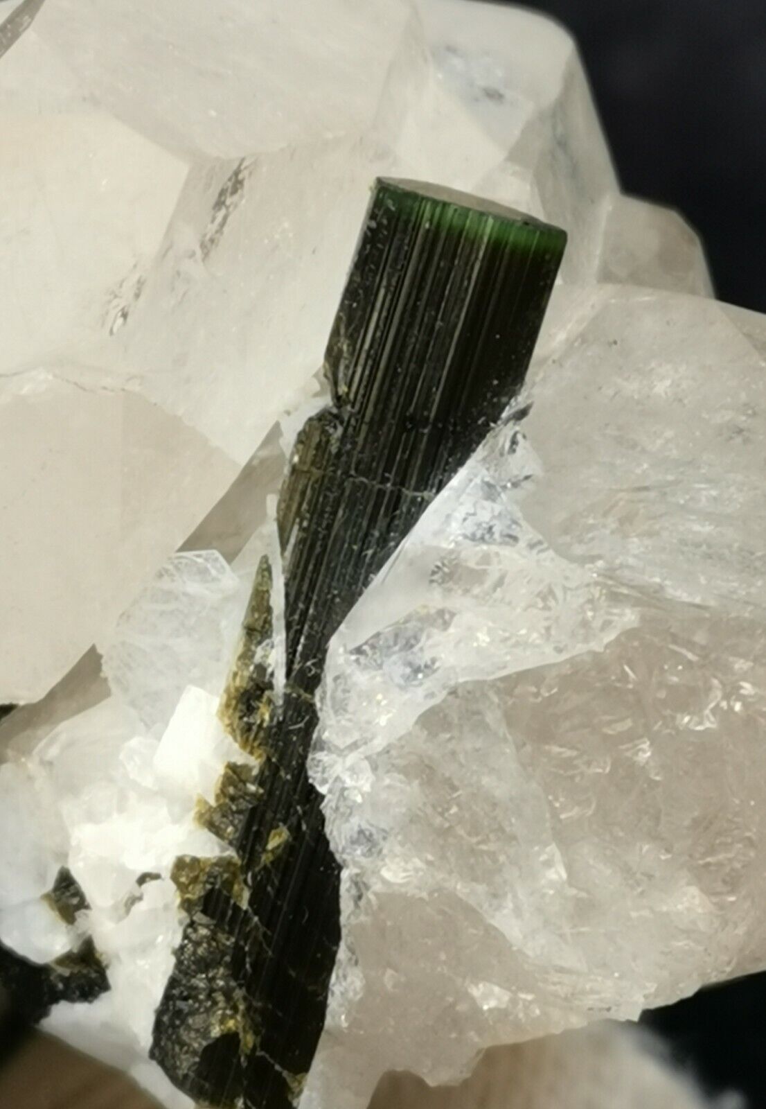 Multiple Green Cap Tourmaline with Terminated Quartz Crystal Specimen 360 Gram