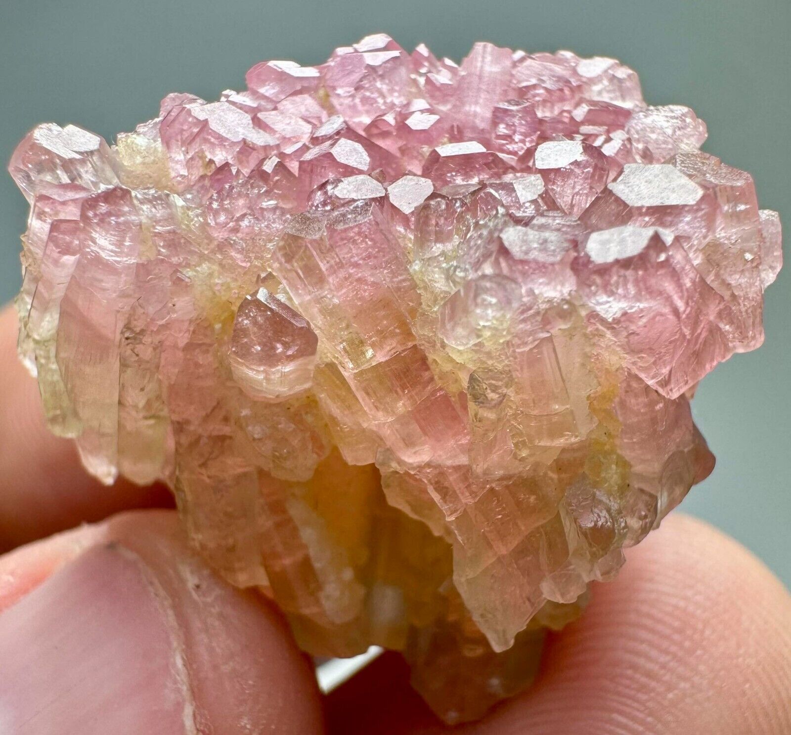 105 Carat Extra Ordinary Rare Bi Color Tourmaline Lustrous Crystals Bunch @AFG