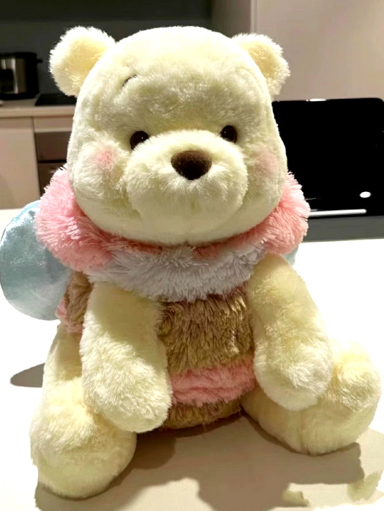 Japan Disney Store Pooh & Friends 2023 Honey Day Bee Plush Toy Size M Pink
