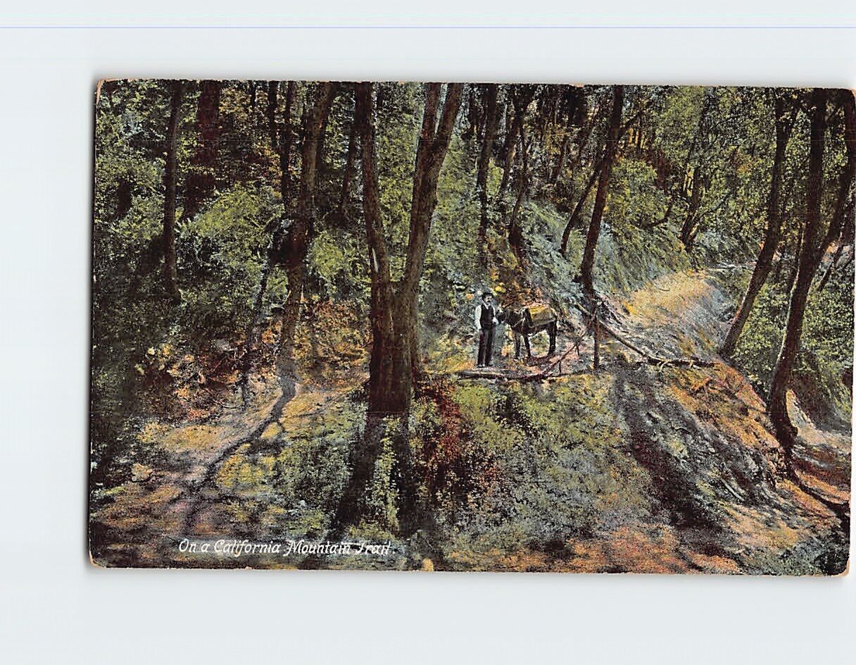 Postcard On a California Mountain Trail