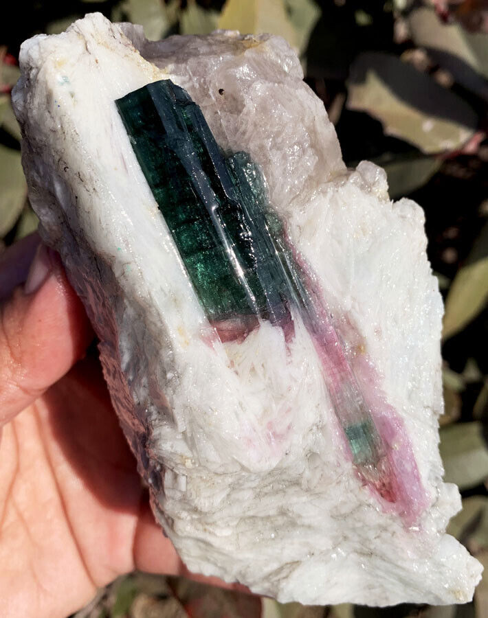 370g Natural Watermelon Color Tourmaline Crystal Ice Transparent Specimen ip1689