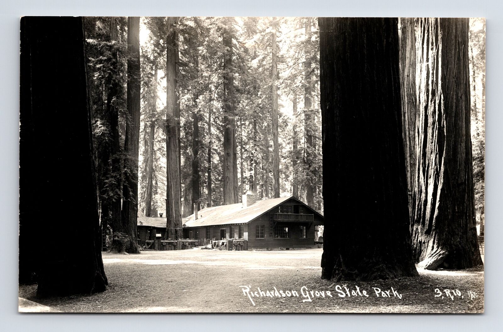 RPPC Richardson Grove State Park Cabin Giant Redwood Trees California Postcard