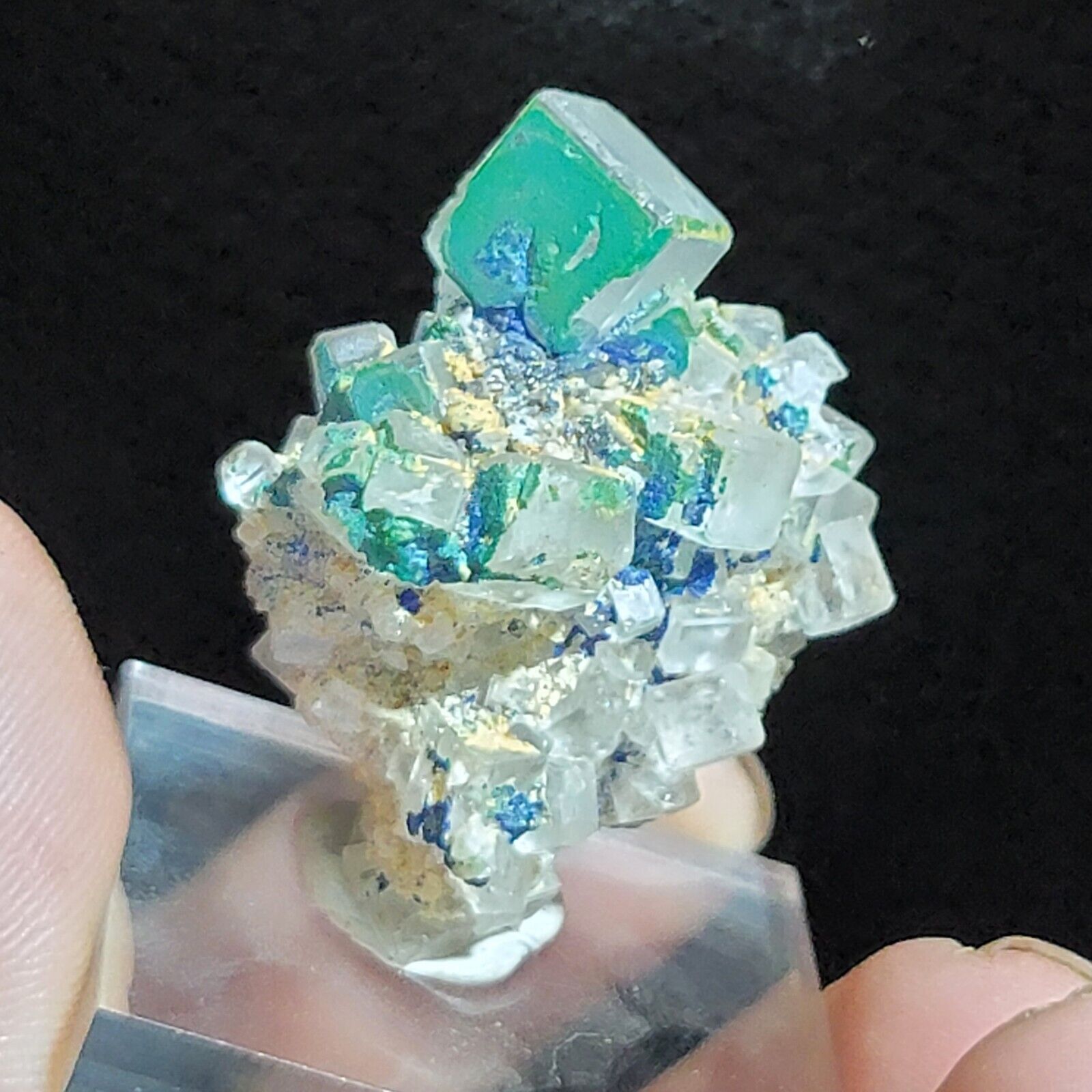 ☆Extremly Rare Malachite And Azurite On Fluorite From Italy ☆ One Time Find☆