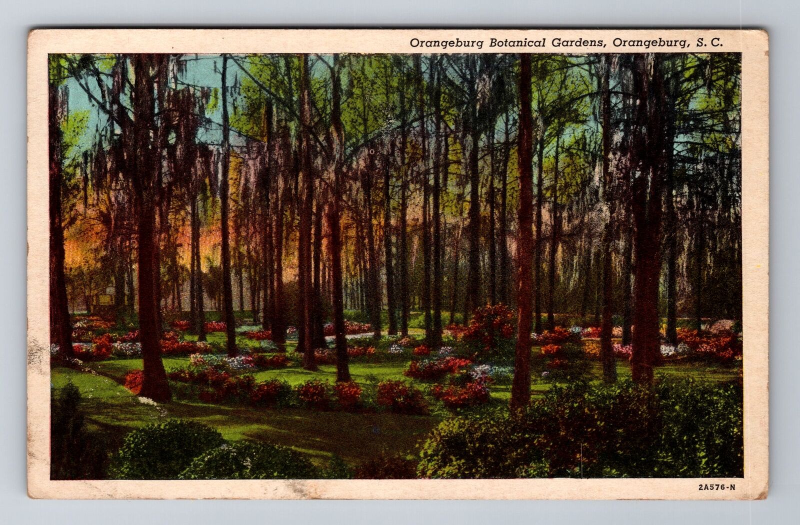 Orangeburg SC-South Carolina, Orangeburg Botanical Gardens, Vintage Postcard