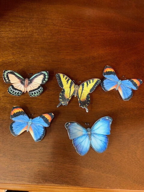 Rare colorful butterfly magnets 1999-2007 (species on inside of wing) 