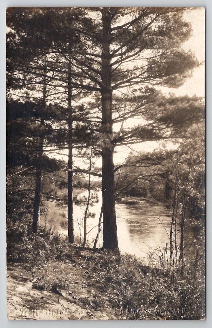 Frankfort MI Michigan RPPC Crystal Lake Thru Trees WH Sharp Photo Postcard P27