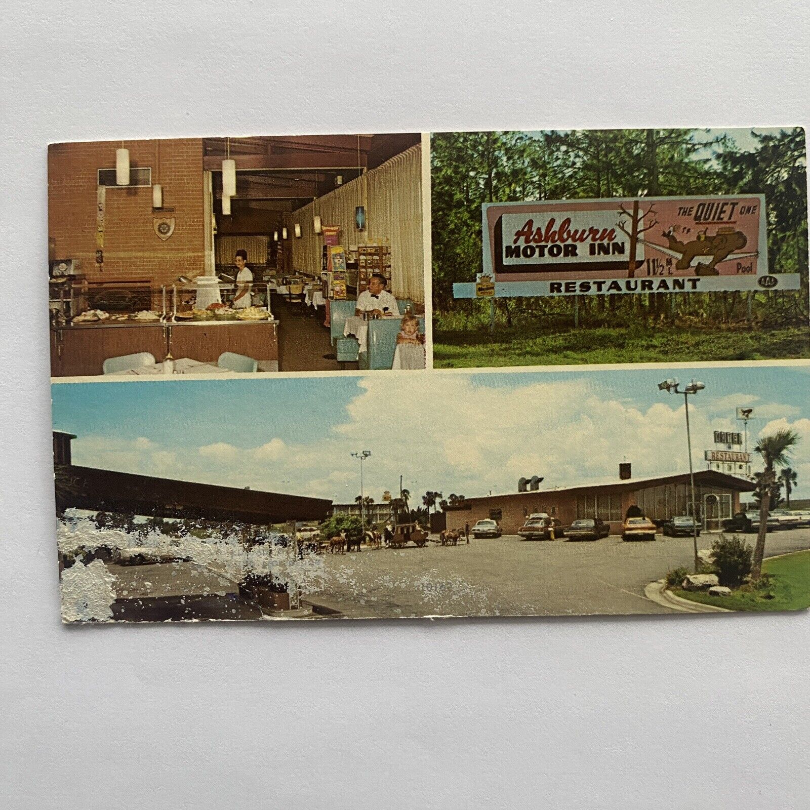 Ashburn GA Ashburn Motor Inn Postcard Honybear Restaurant Multiview Cars