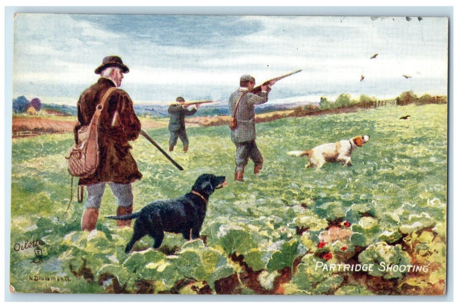 c1910's Man Hunting Birds Partridge Shooting Oilette Tuck's Antique Postcard