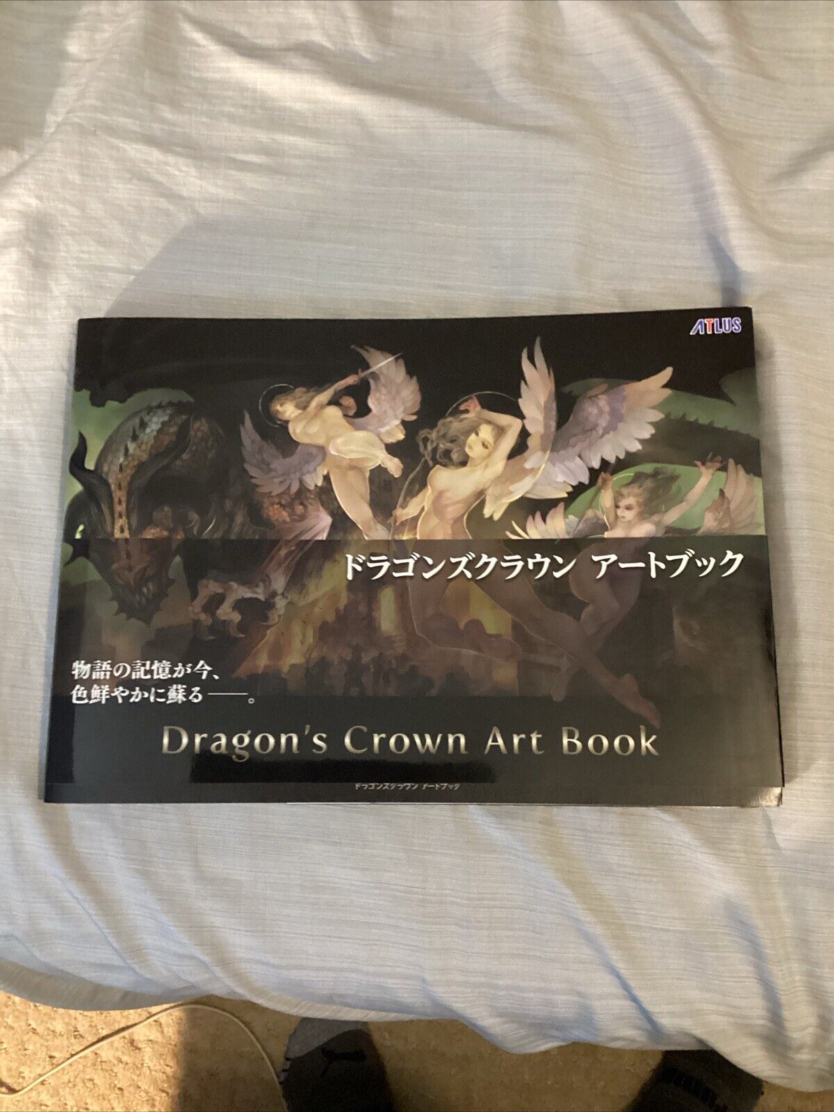 Dragon\'s Crown Art Book Softcover Kadokawa 2015 VANILLAWARE NEW F/S Japan