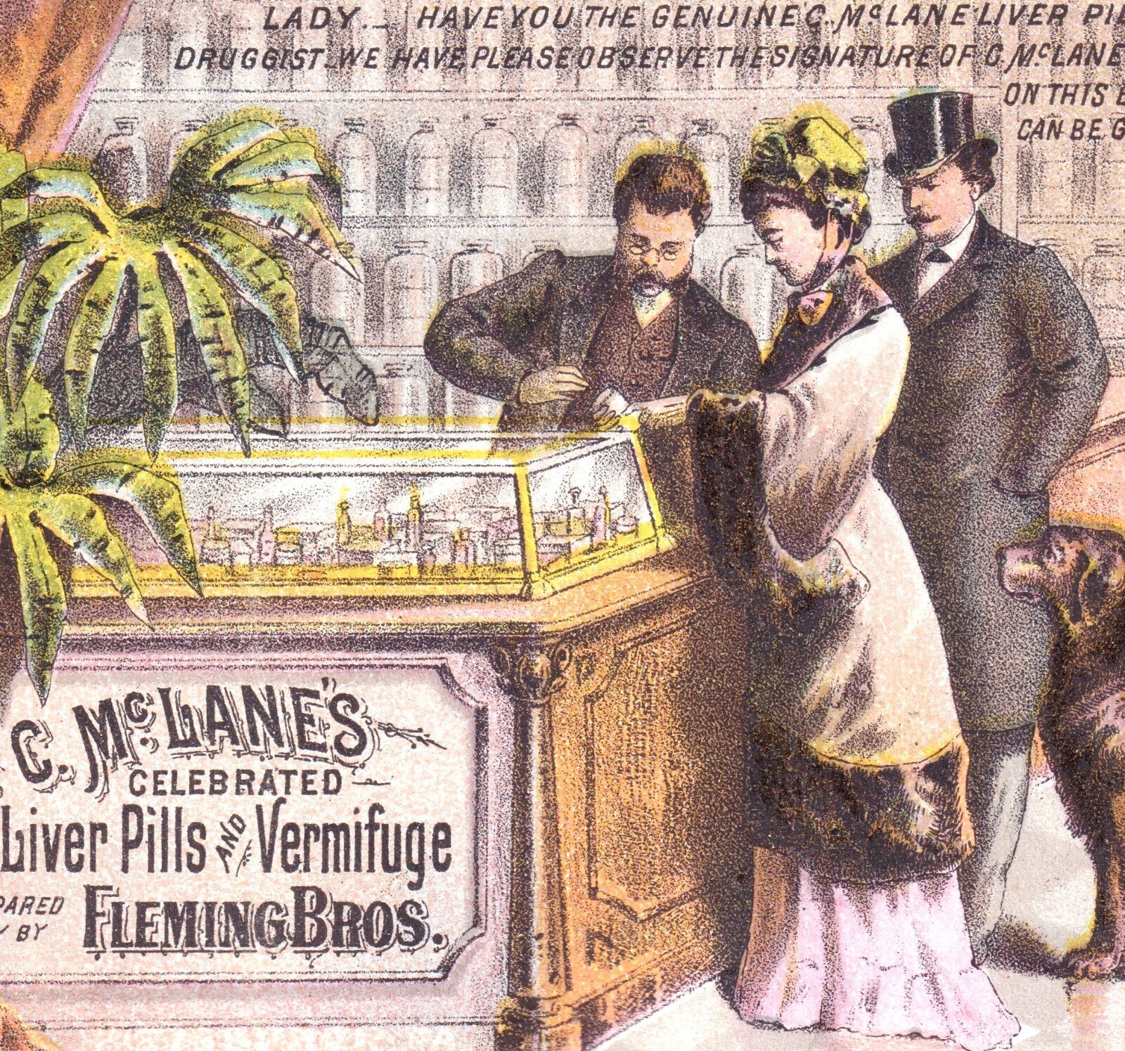 Fabulous 19th Century Pharmacy Drug Store Dr. McLanes Medicine Bottle Trade Card