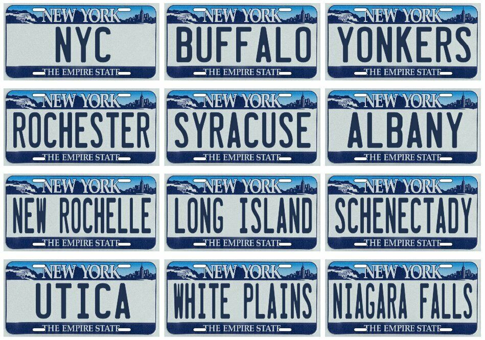 LONG ISLAND, BUFFALO, ROCHESTER, ALBANY NEW YORK Cities License Plate 12-PACK