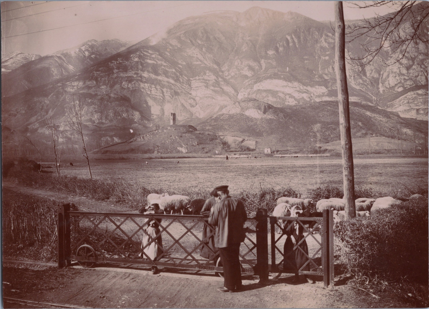 France, Berger and his herd at the foot of the mountains, vintage print, ca.1890 shot
