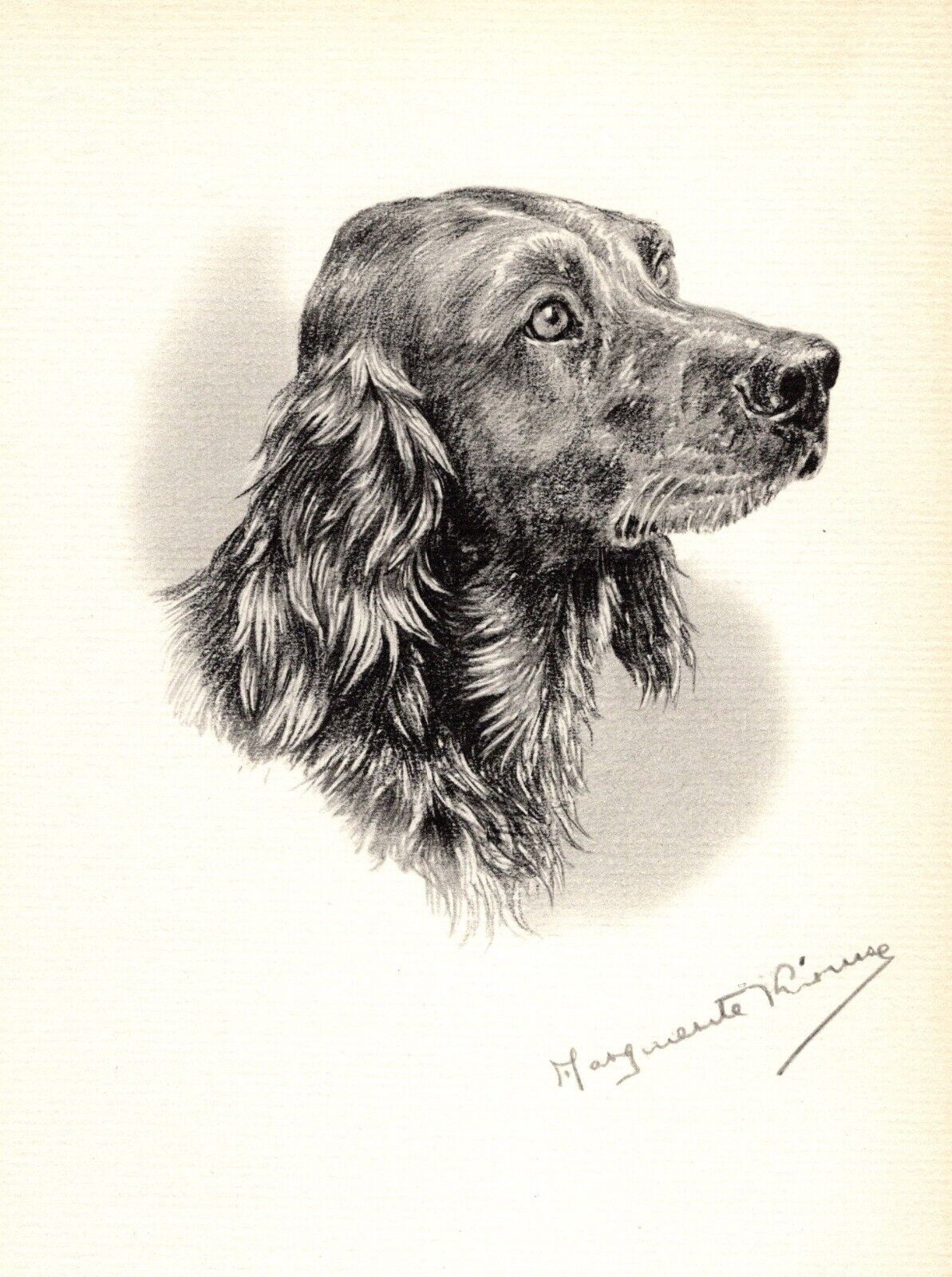 Antique Marguerite Kirmse Irish Setter Print Hunting Dog Wall Art Decor 5027a