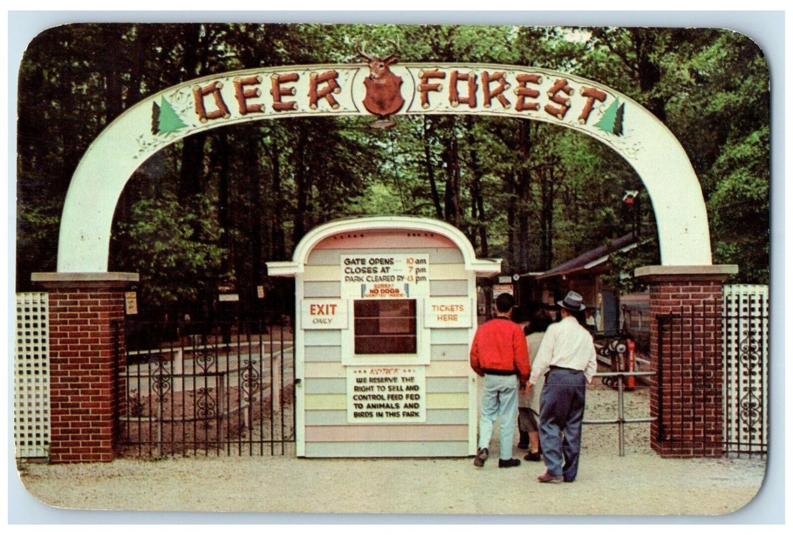 1971 Entrance View Deer Forest Paw Paw Lake Coloma Michigan MI Vintage Postcard