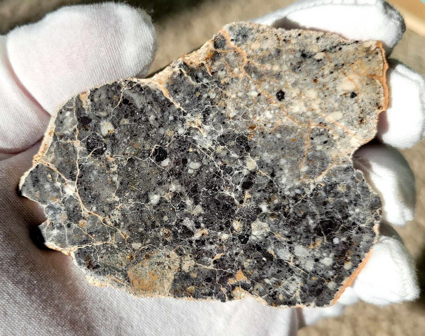 LUNAR Meteorite NWA 15373 Fragmental Breccia 1 of 29 Huge FULL 32.5g Moon Slice