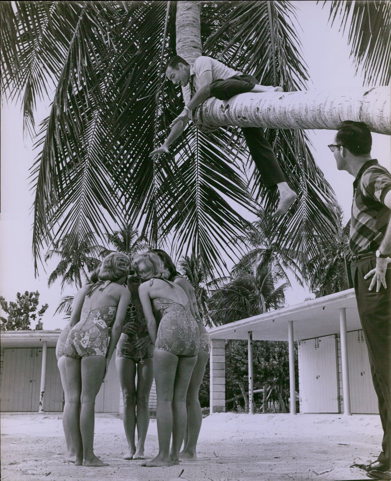 LG821 1961 Original Ron Wahl Photo ORANGE BOWL QUEEN Gorgeous Ladies Swimsuit