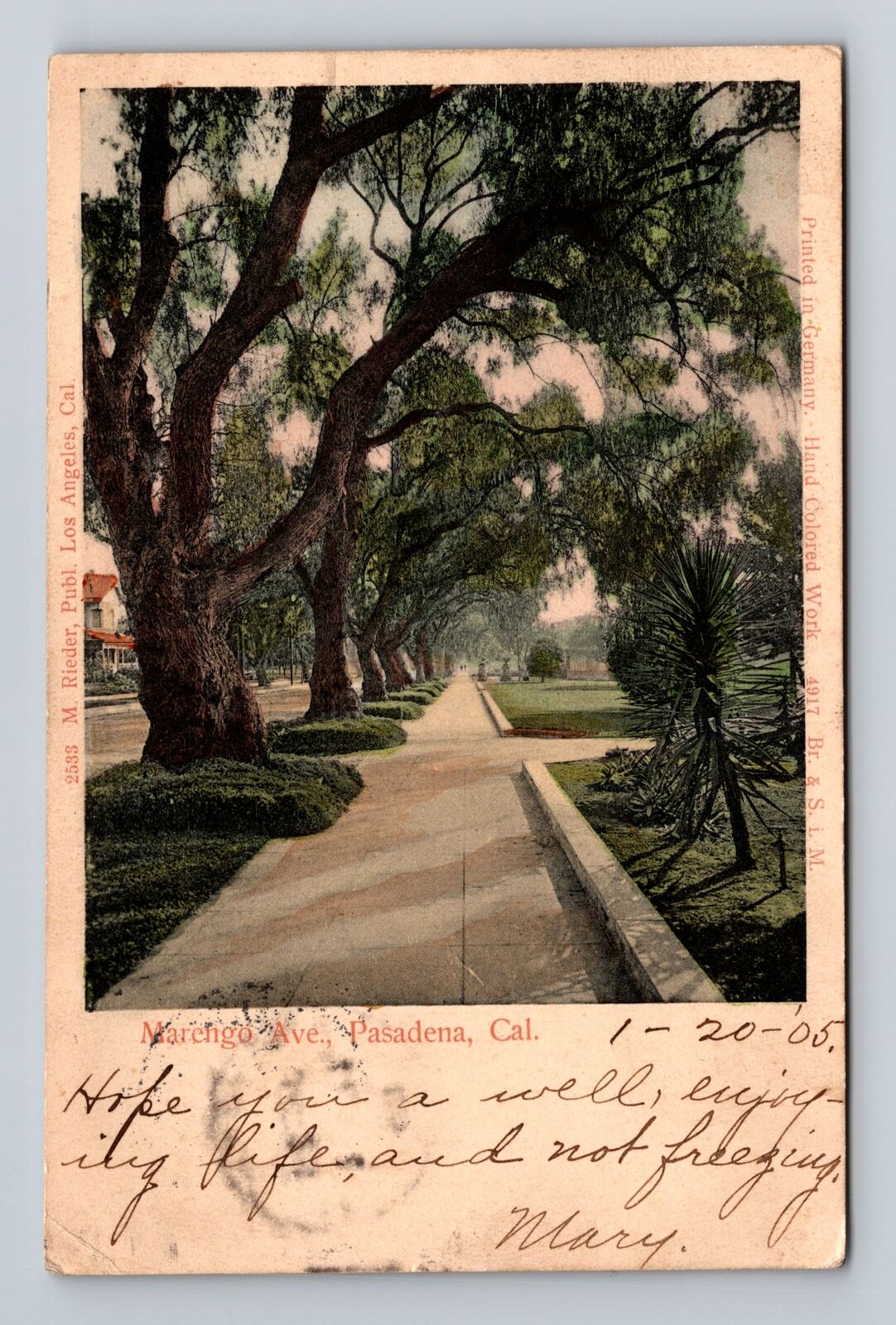 Pasadena CA-California, Scenic View Marengo Avenue, Antique Vintage Postcard