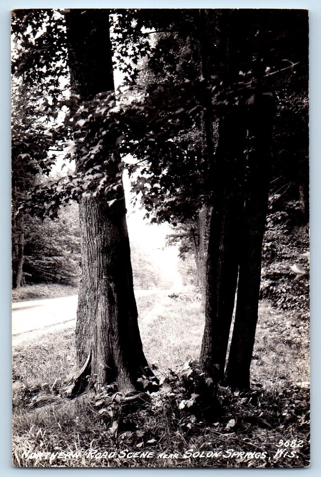 Solon Springs Wisconsin WI Postcard RPPC Photo Northern Road Scene c1950's