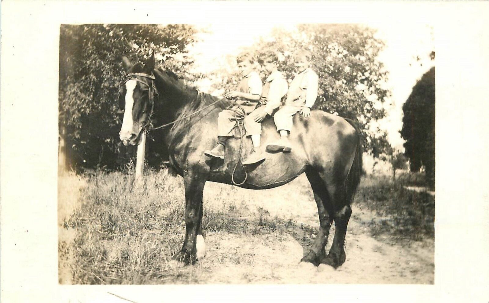 Postcard RPPC 1918 Three Children on horse 23-5377