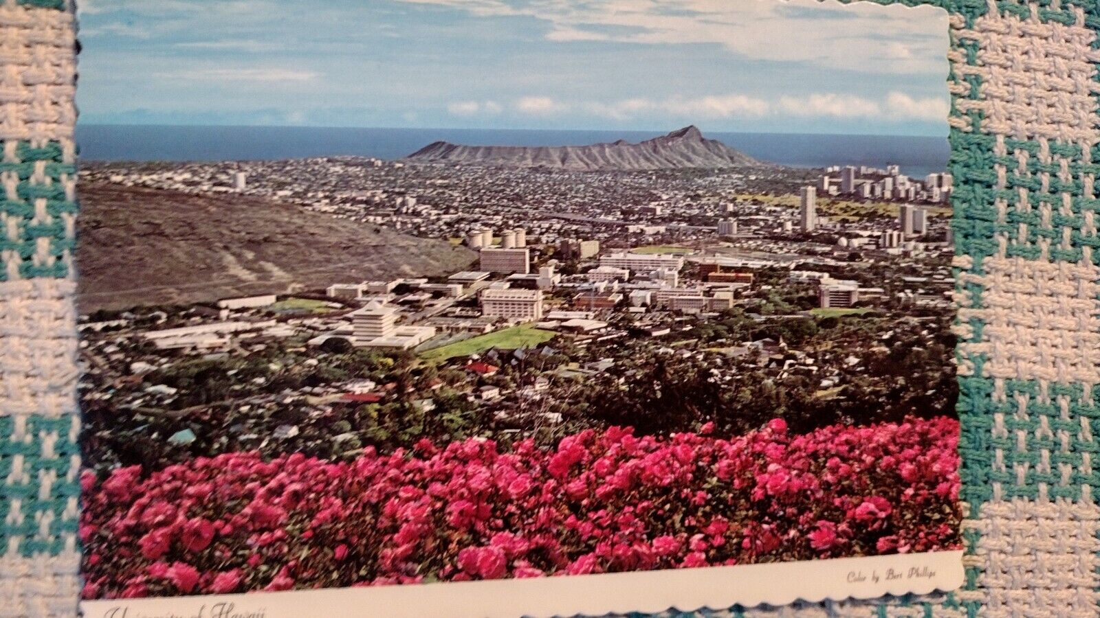 BEAUTIFUL POST CARD UNIVERSITY OF HAWAII ISLAND OF OAHU HAWAII