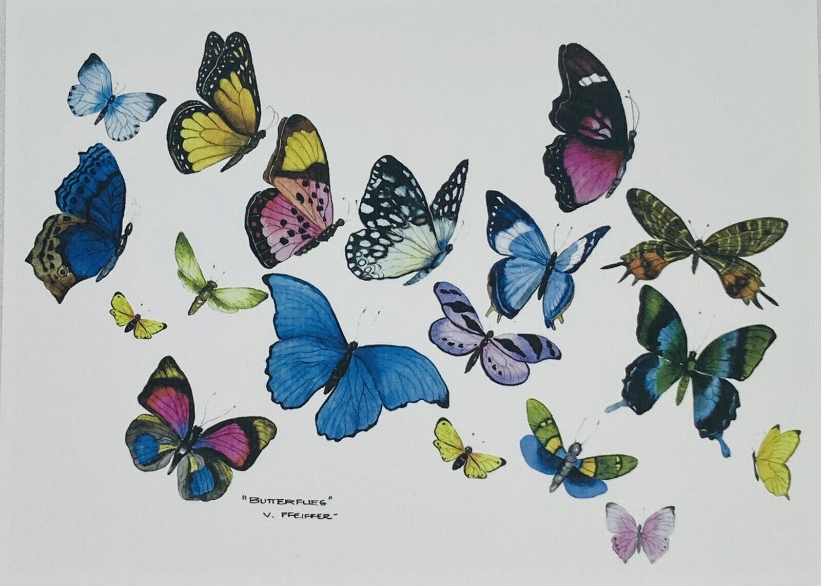 Vintage Greeting Card Wild Butterflies By Valerie Pfeiffer National Wildlife P1