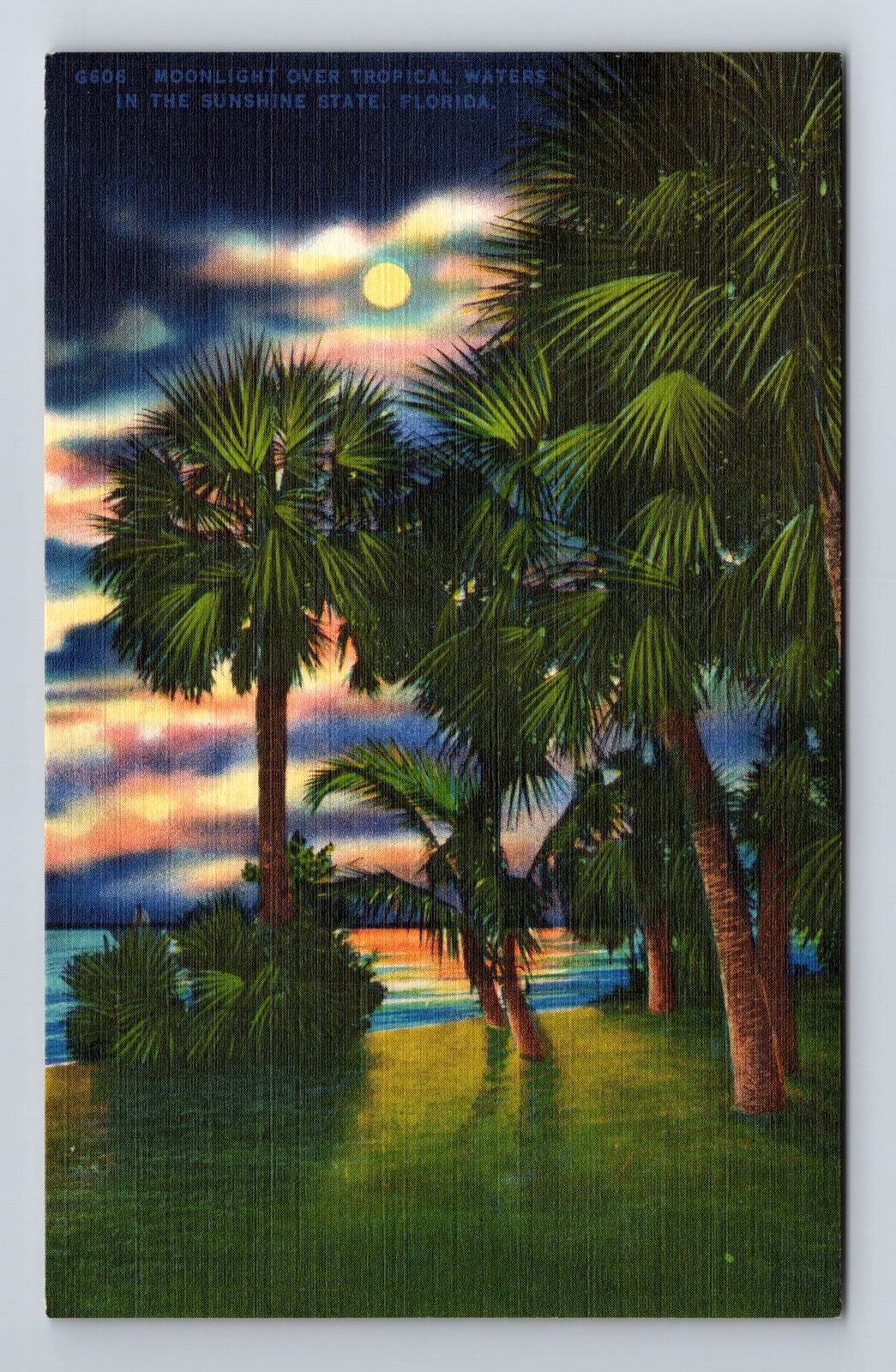FL-Florida, Moonlight over Tropical Waters in Florida, Vintage Postcard