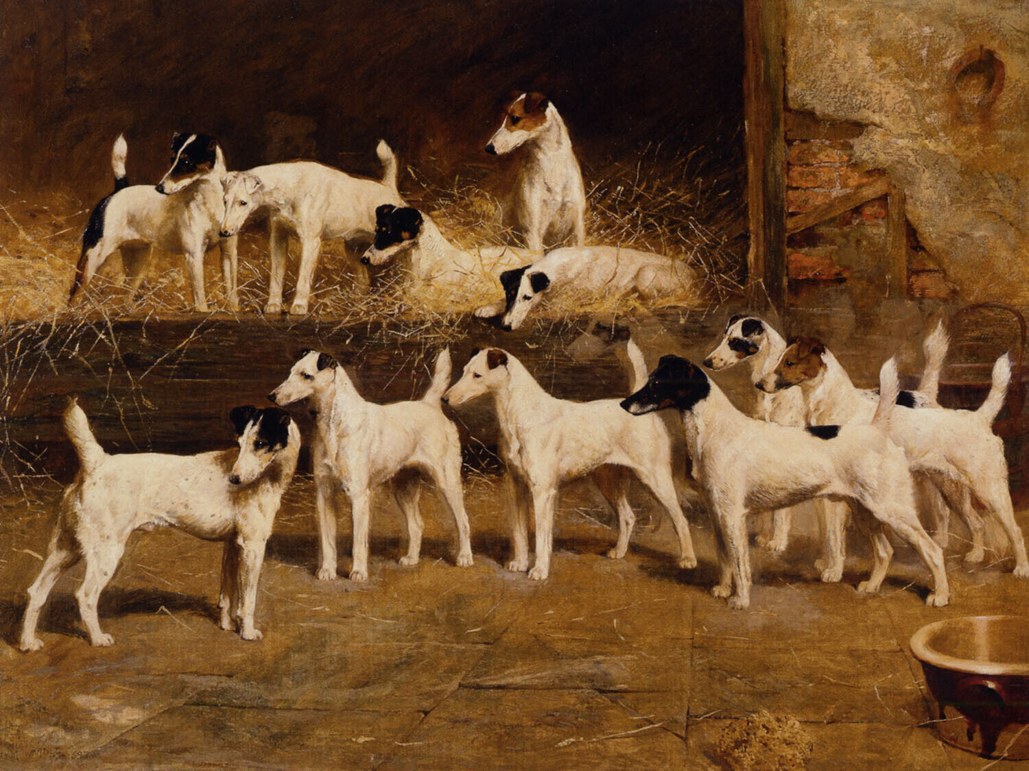 Eleven Smooth Fox Terrier Show Dogs Painting By Arthur Wardle Art Repro Free S/H