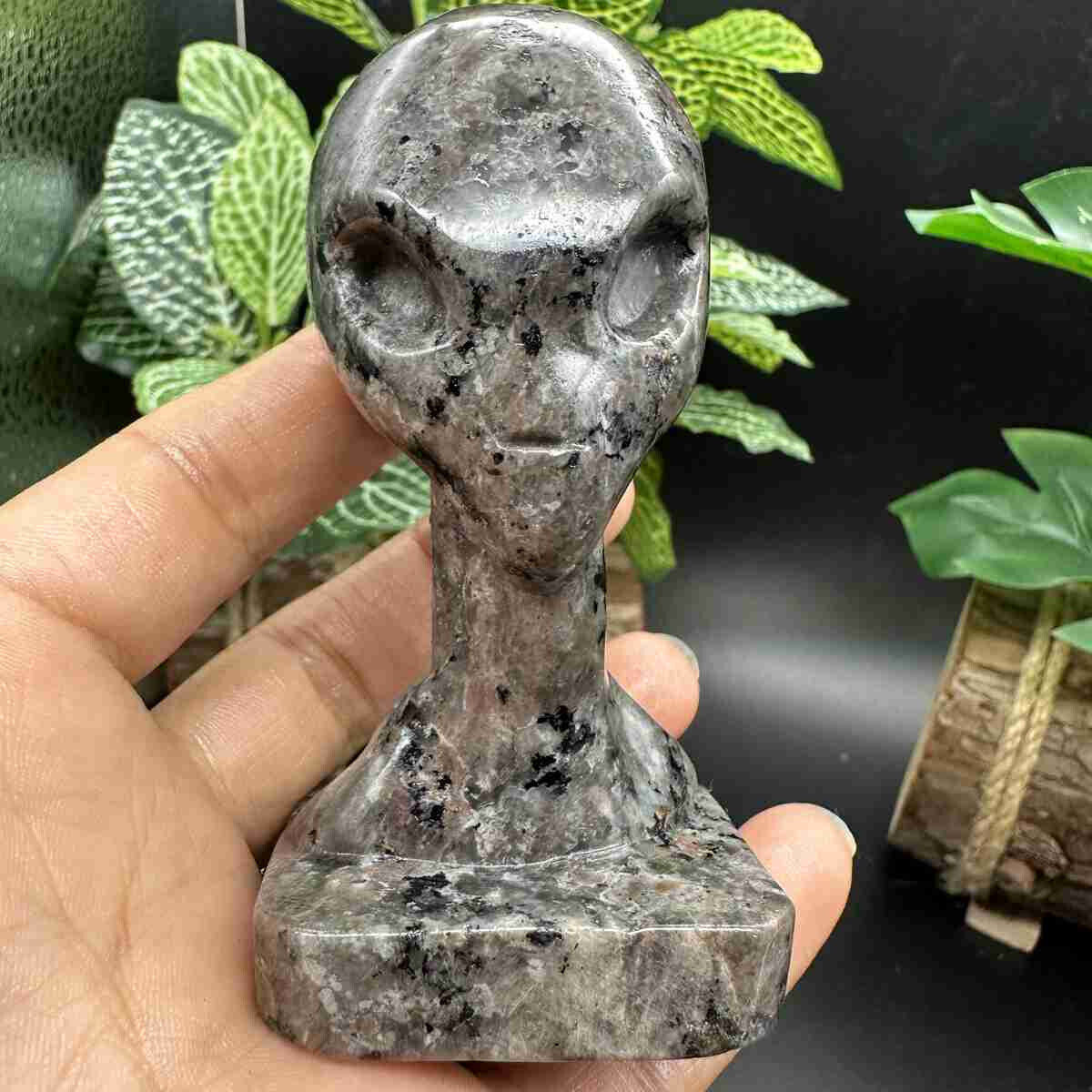 1pc Natural yooperlite Quartz Hand Carved Alien Skull Crystal Reiki Heal Gift
