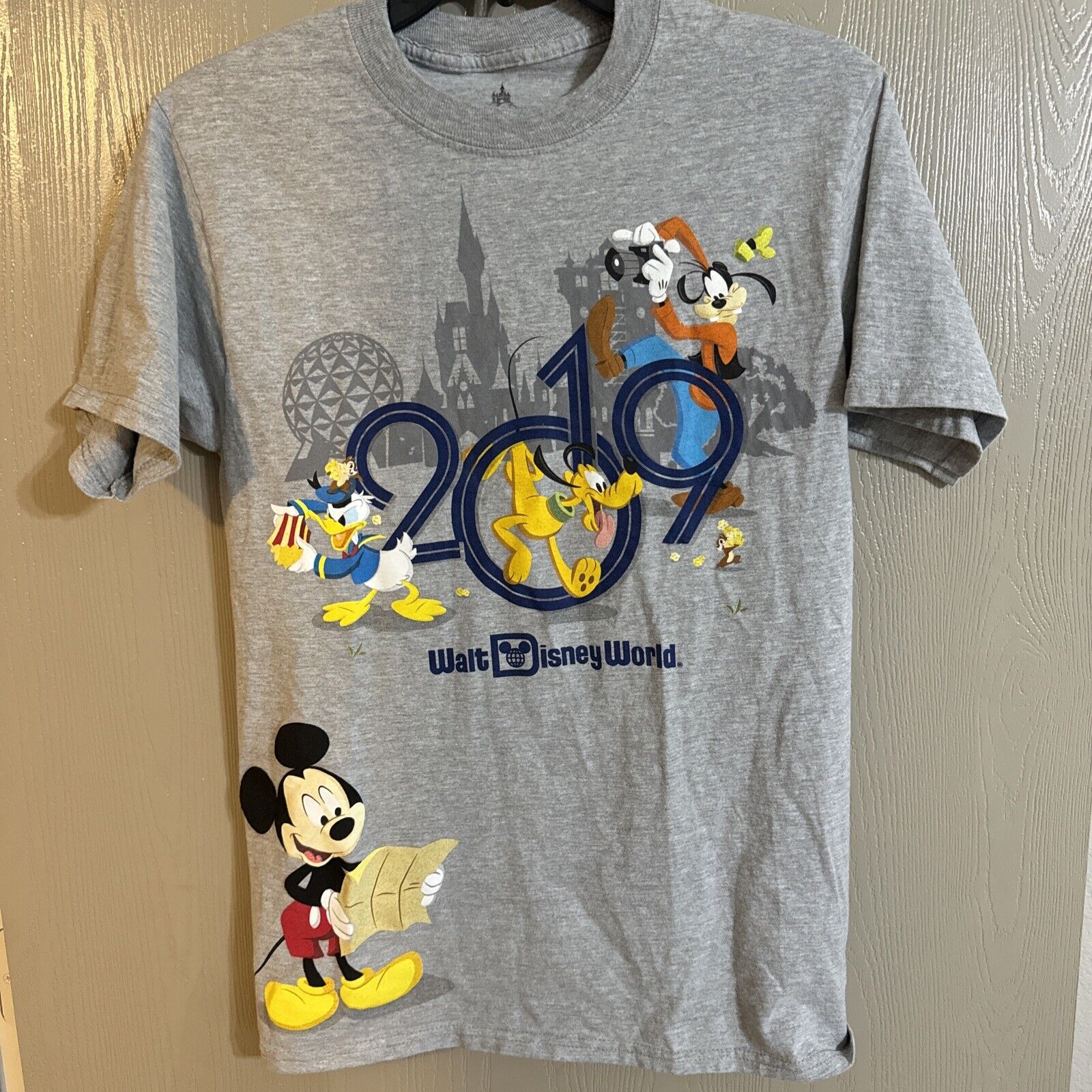 Disney Parks T-shirt Short Sleeve 2019 Walt Disney World Graphic Gray Adult S.