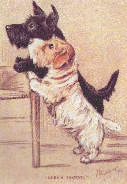 Scottish / Sealyham Terrier - CUSTOM MATTED - Dog Art Print - Lucy Dawson NEW