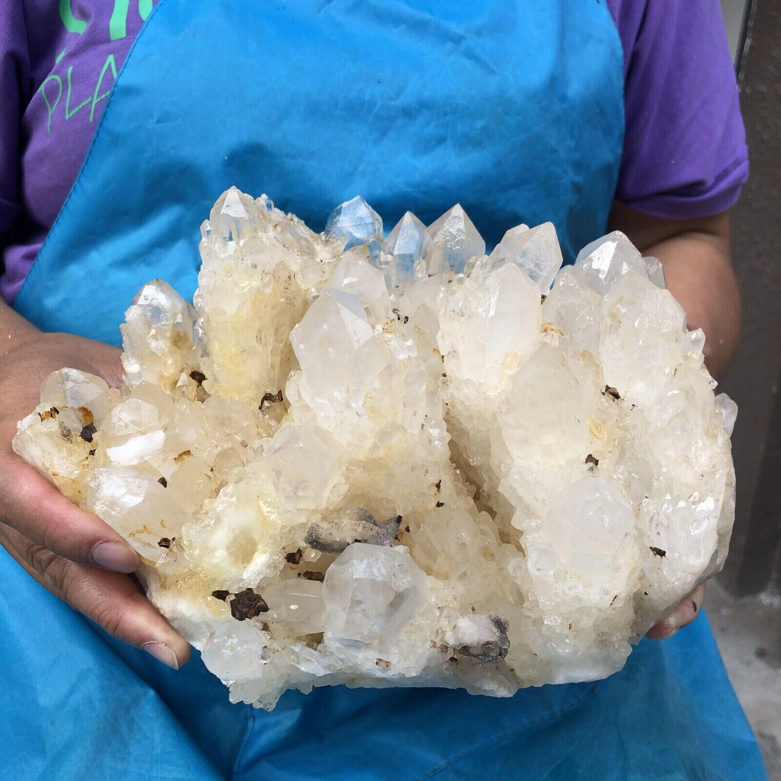 8.11 LB World Class Natural Clear Quartz Cluster Crystal Mineral Specimen