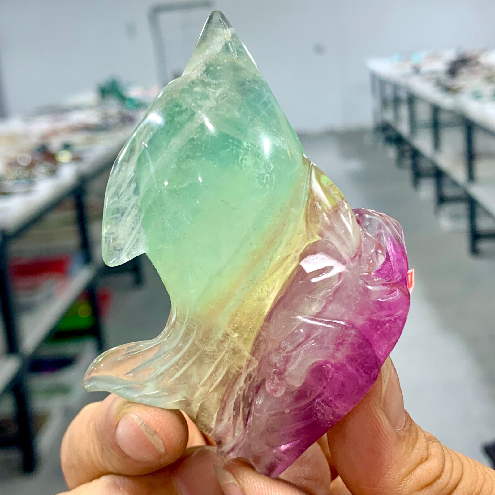 128G Natural Purple Green fluorite Handcarved dolphin Crystal Specimen