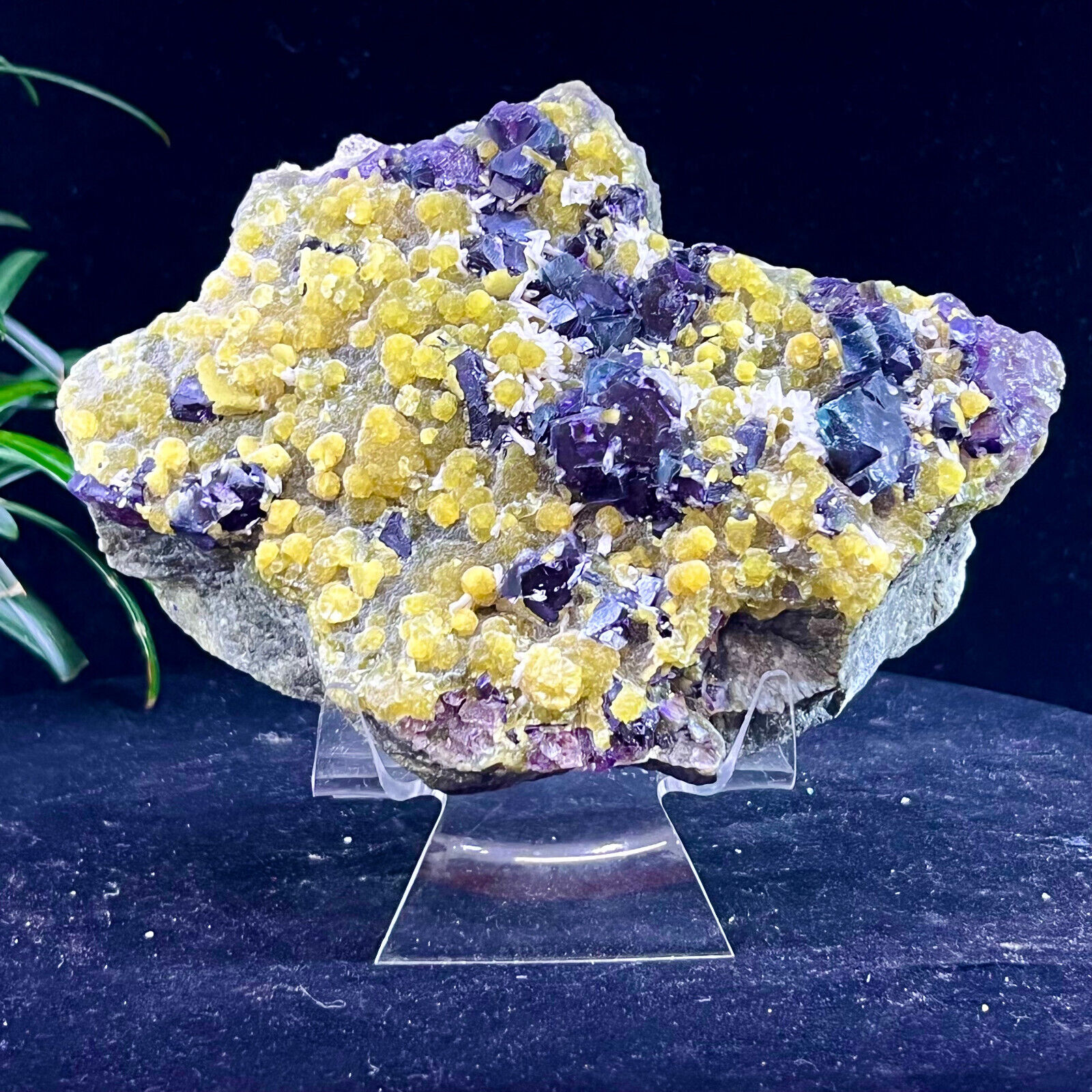 2.42LB Natural Tanzanite Purple Fluorite Tanzanite Coexisting Mineral Roughness