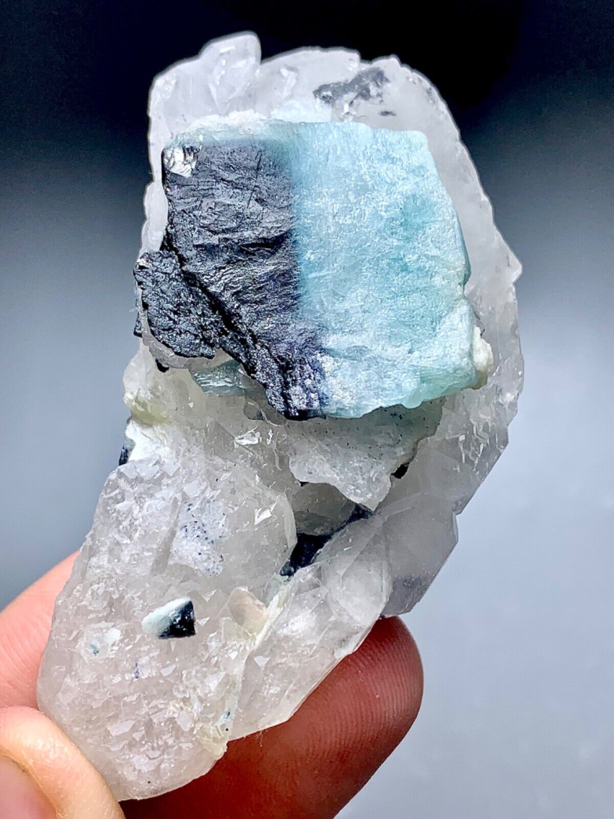 275 Carat Bicolour Tourmaline Crystal On Quartz Specimen From Afghanistan