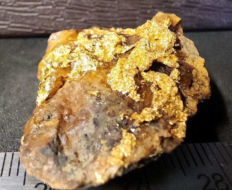Gold Ore Specimen 13.2g Huge Crystalline Gold - 2530 From Ontario