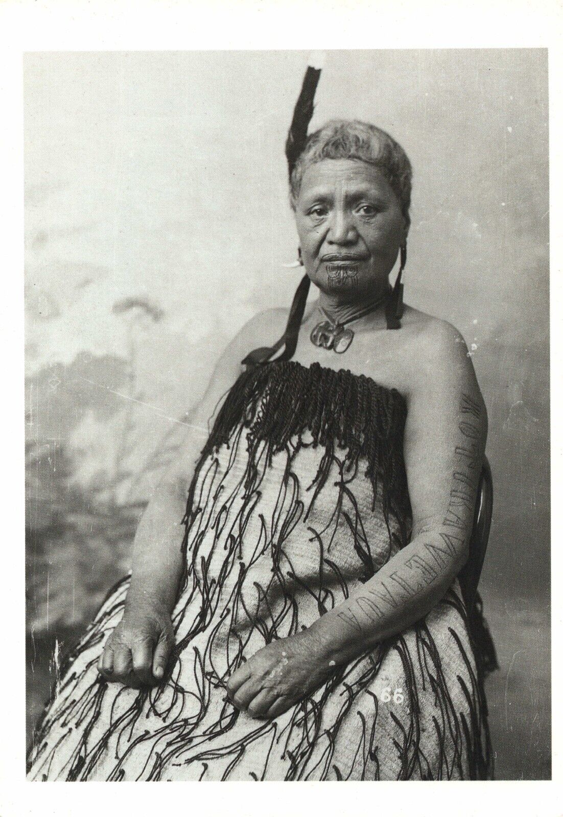 Tattooed Maori Woman New Zealand The Amsterdam Tattoo Museum Vintage Postcard