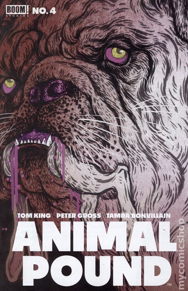Animal Pound #4B Stock Image