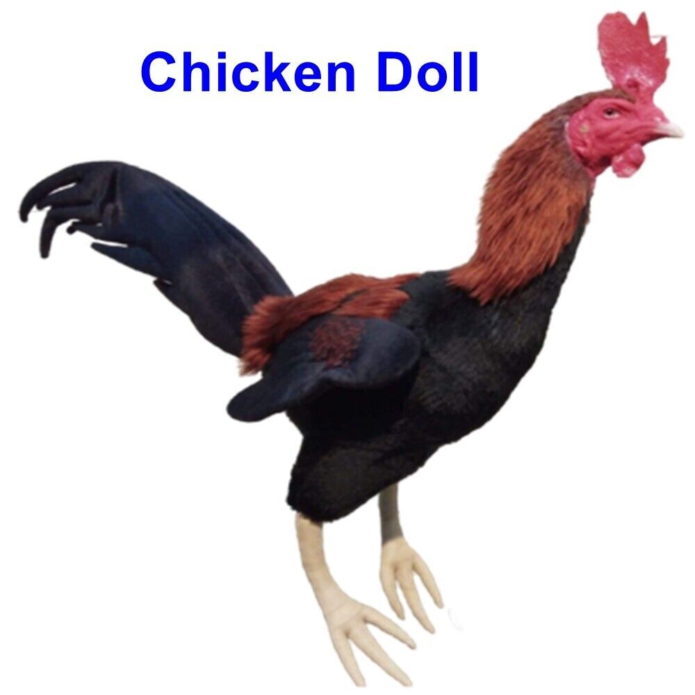 Doll Chicken Rooster Cock Realistic Hanging Silicone Training Equipment Sport1Pc
