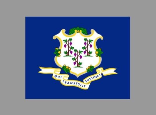 Connecticut State Flag Die Cut Glossy Fridge Magnet