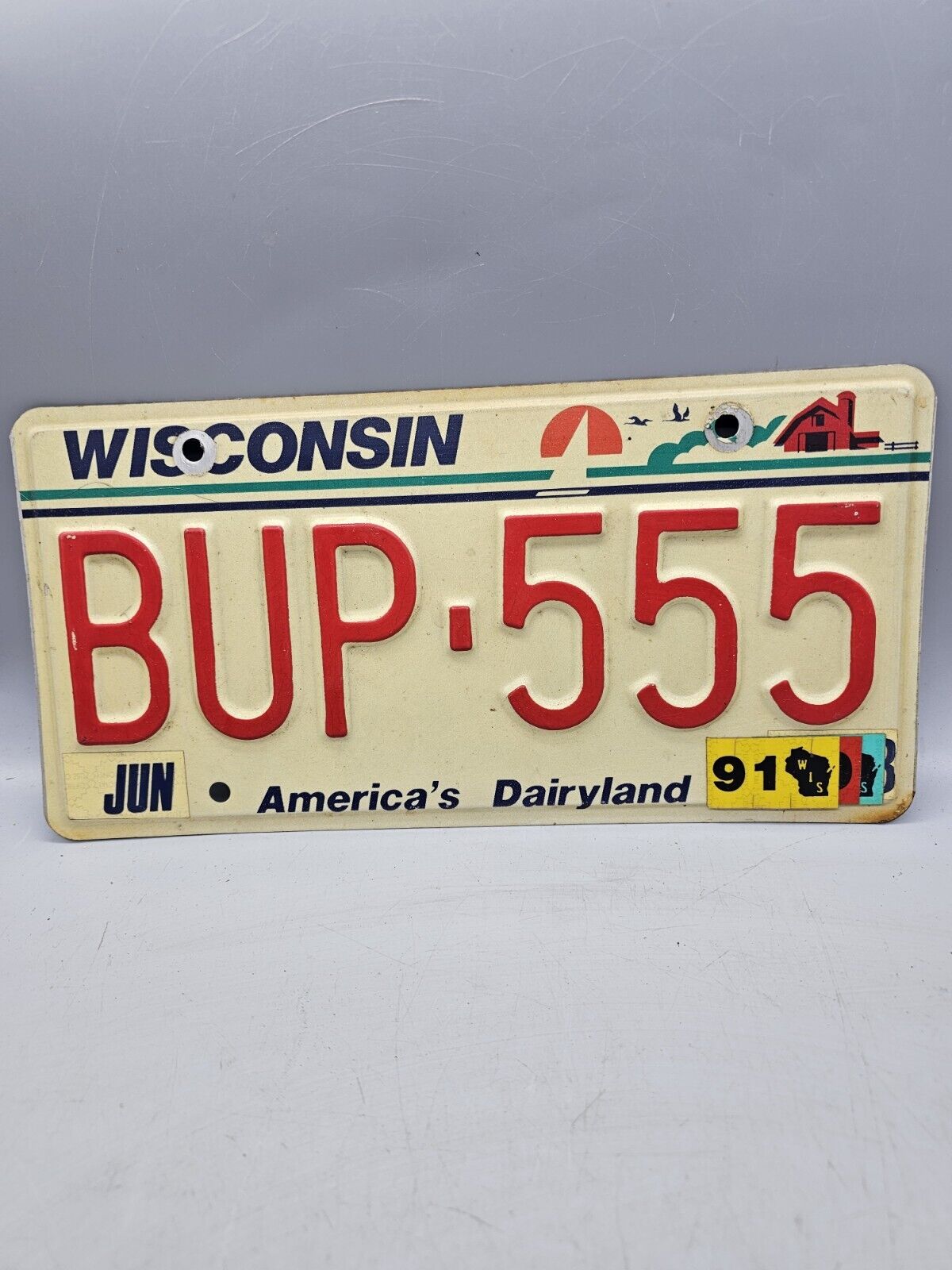 1991 Wisconsin License Plate Craft BUP-555 Garage Decor Mancave Dairyland