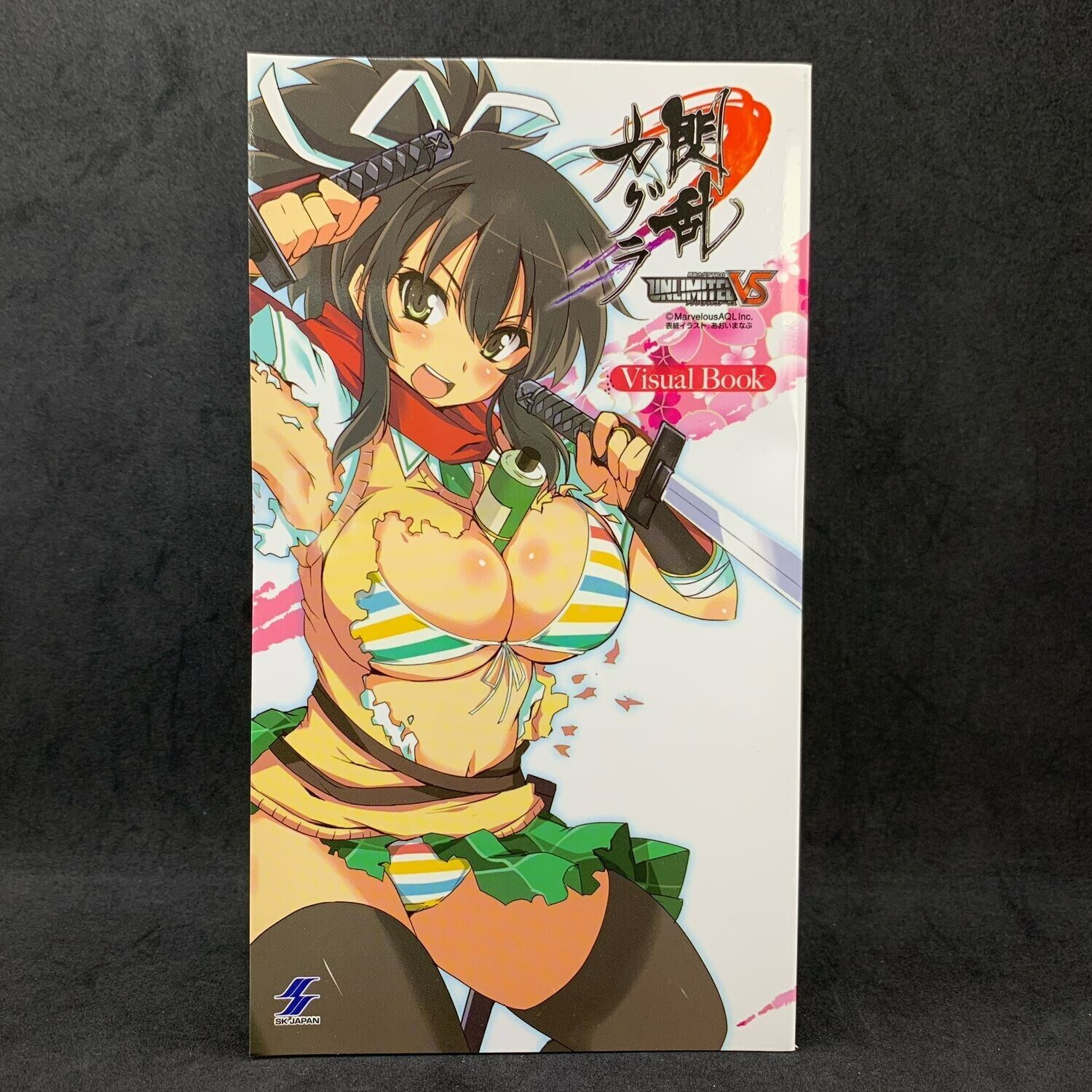 Senran Kagura Unlimited VS Visual Book ASUKA IKARUGA KATSURAGI Art Anime