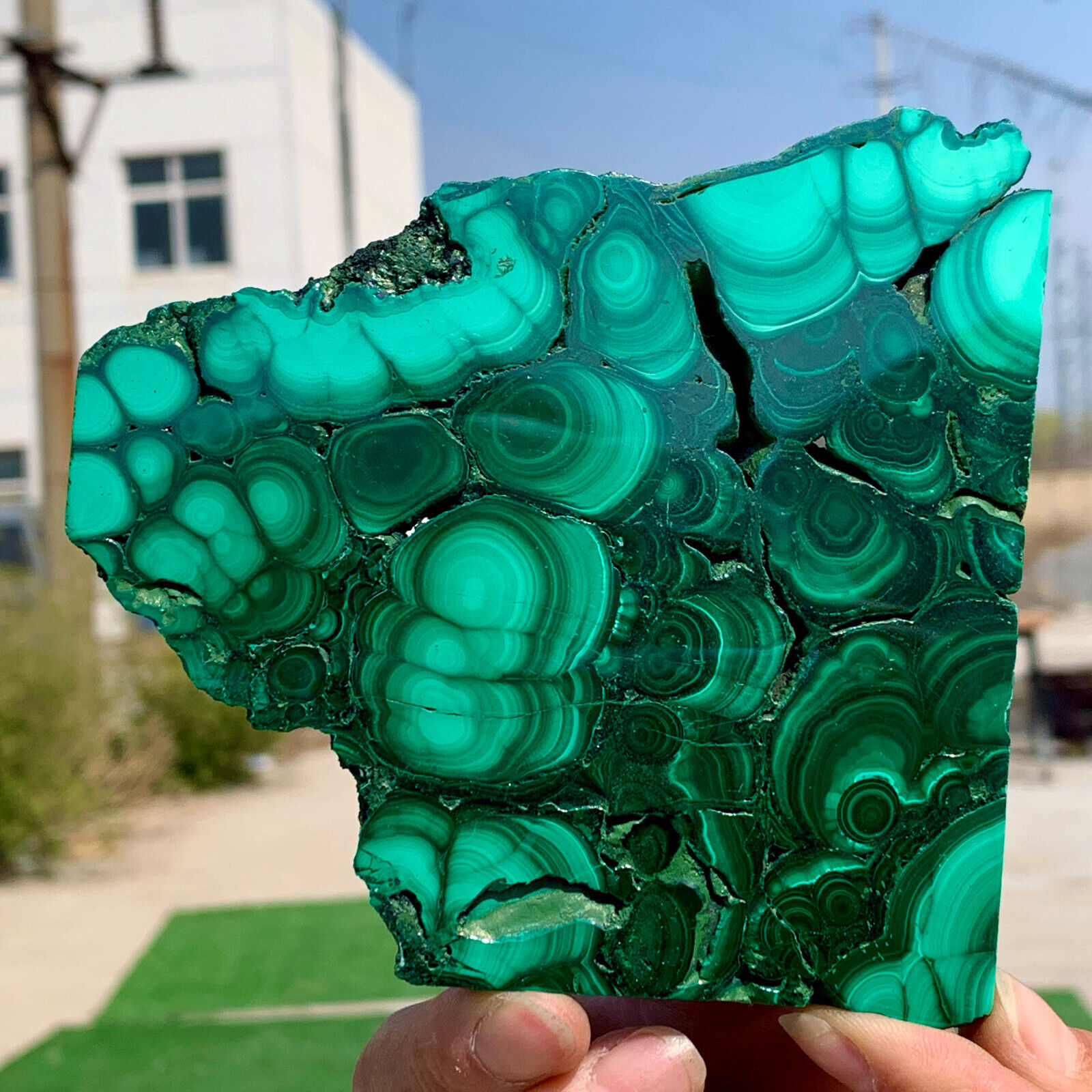 279g Natural glossy Malachite transparent cluster rough mineral sample