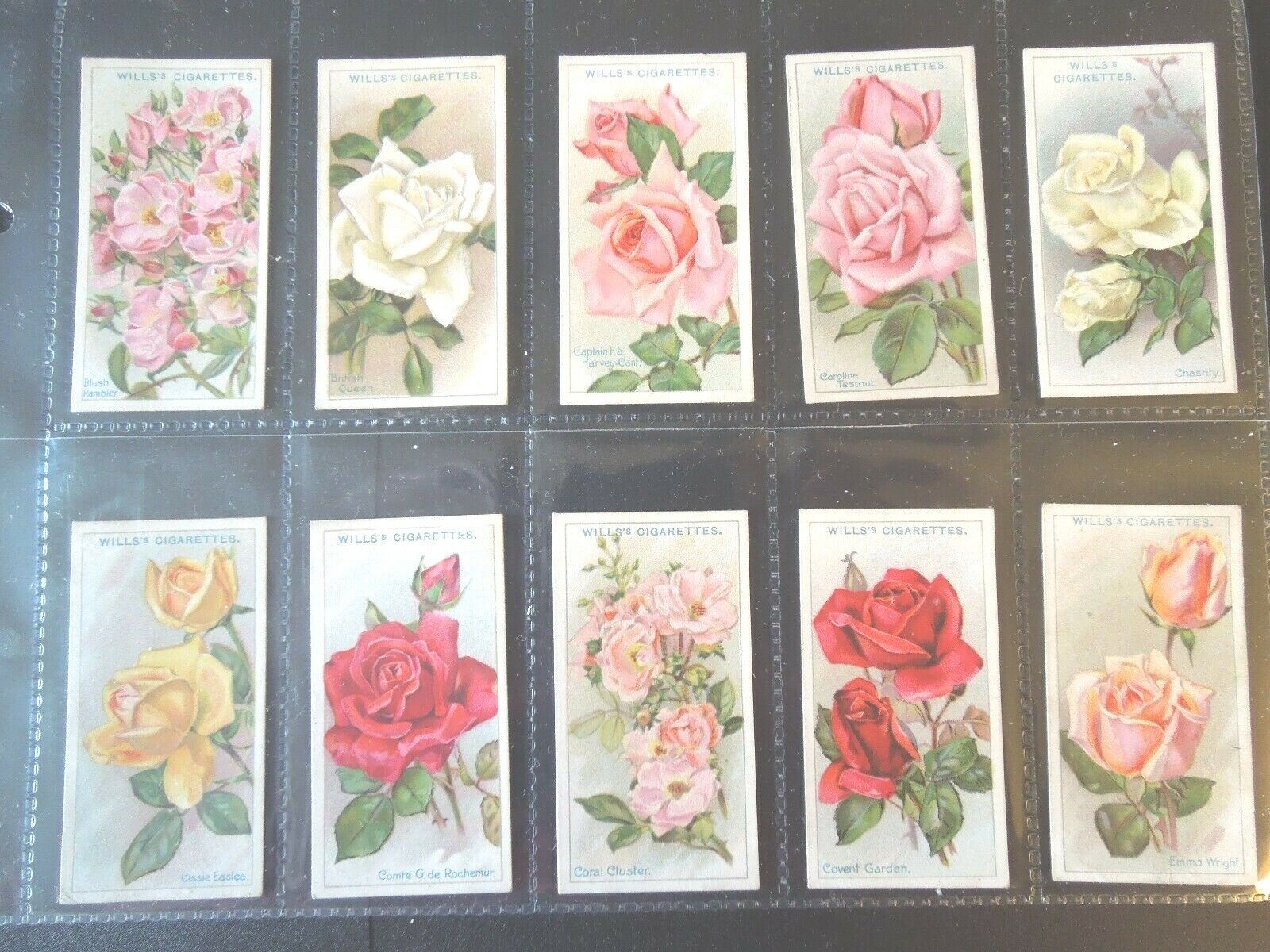 1926 Wills ROSES flowers garden plants Tobacco cards complete EX.  50 card set  