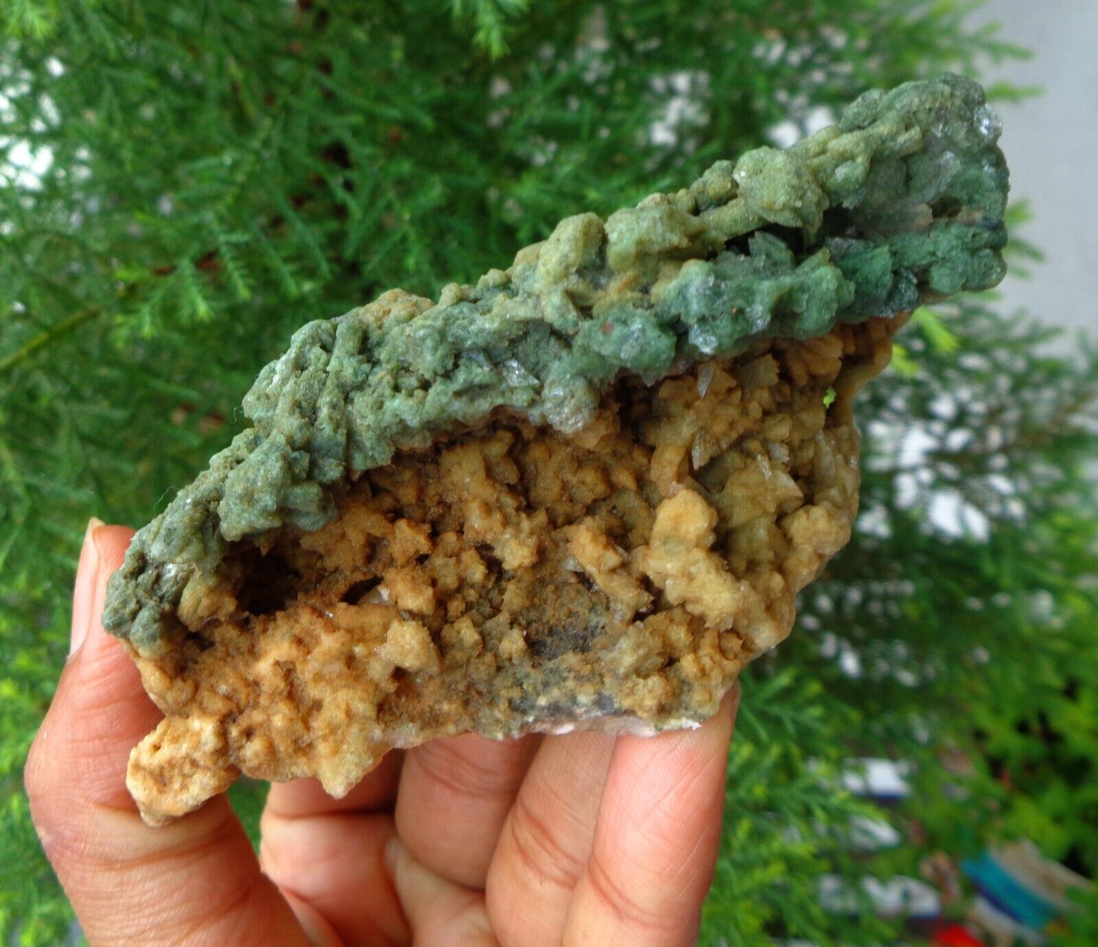 Marshy Green Heulandite Minerals Specimen#F12