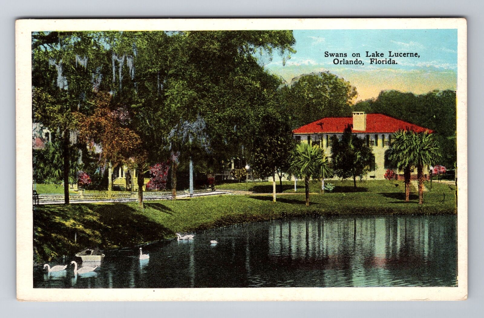 Orlando FL-Florida, Swans on Lake Lucerne, Antique Vintage Souvenir Postcard