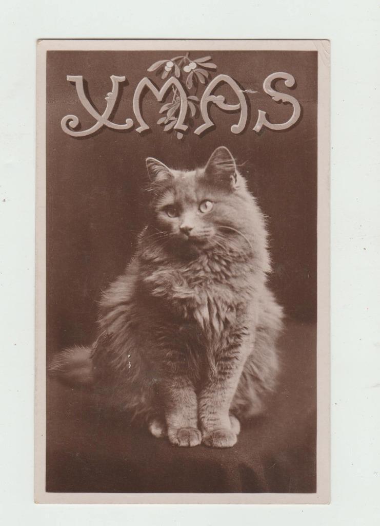 Vintage Real Photo Postcard RppC Merry Christmas Xmas Cat